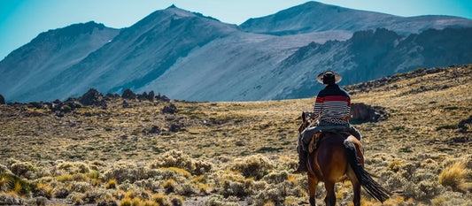 Un gaucho argentin à cheval devant les montagnes de la Pampa