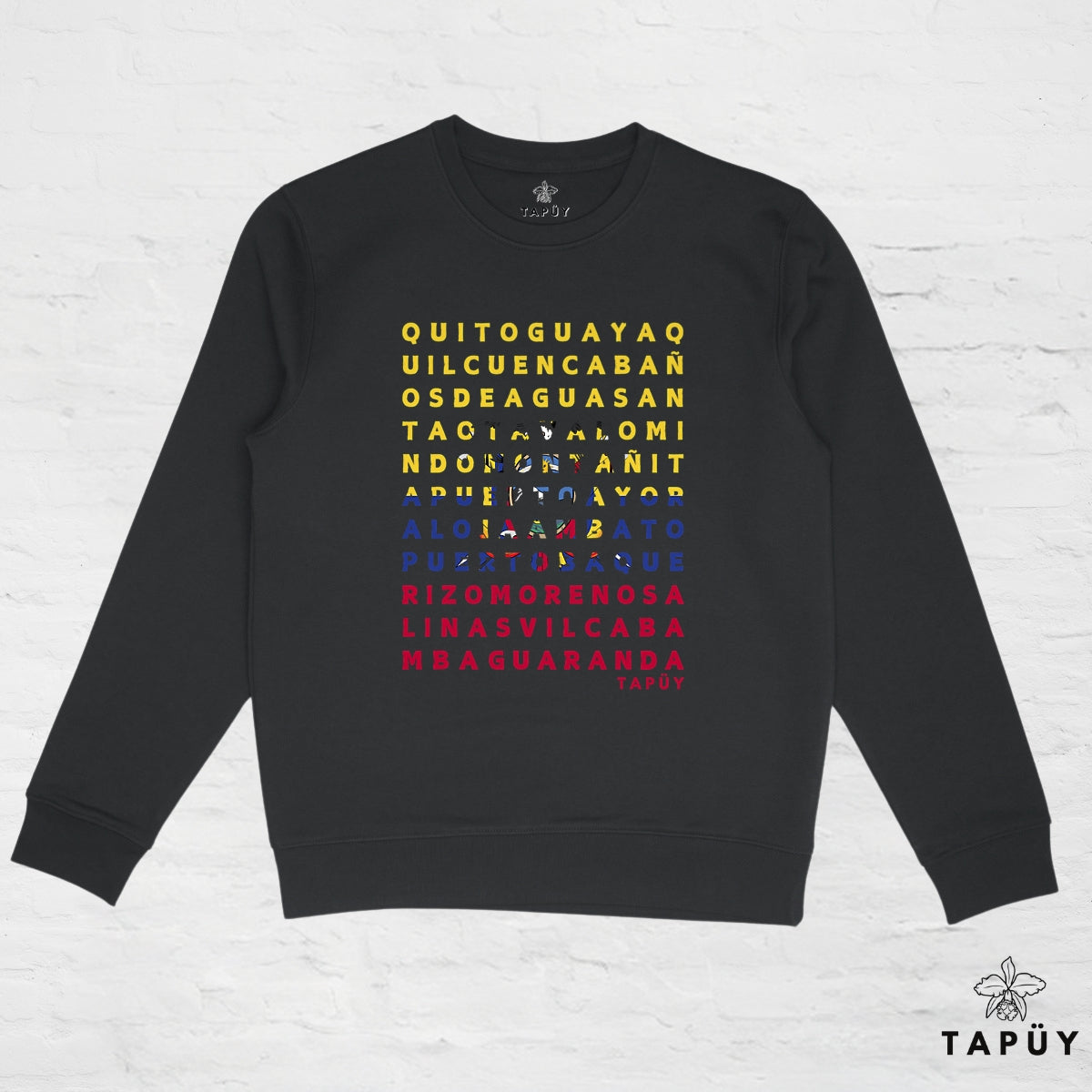 Sweatshirt Unisexe Ciudades de Ecuador Noir / XS de la marque Tapüy