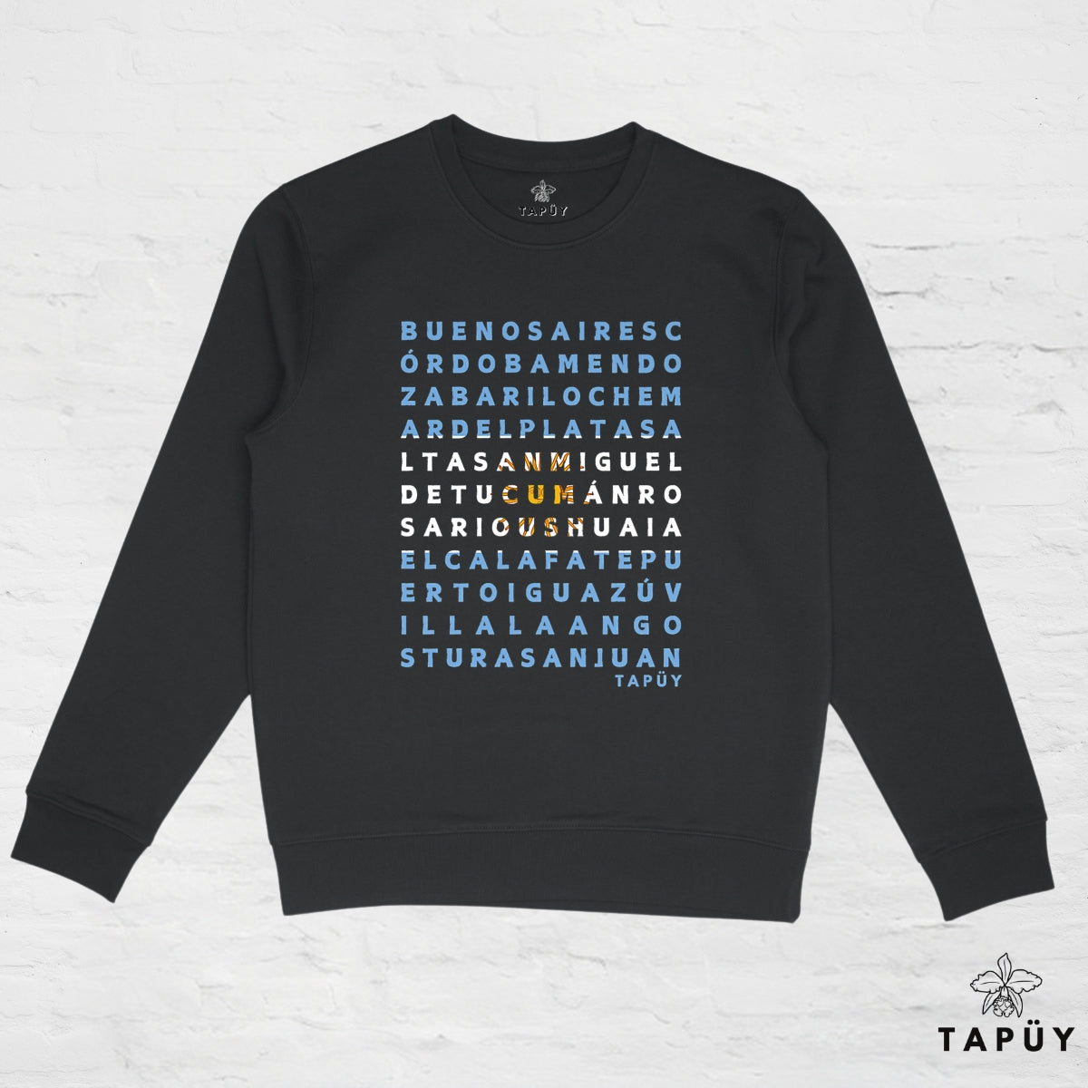 Sweatshirt homme ciudades de argentina noir Tapüy