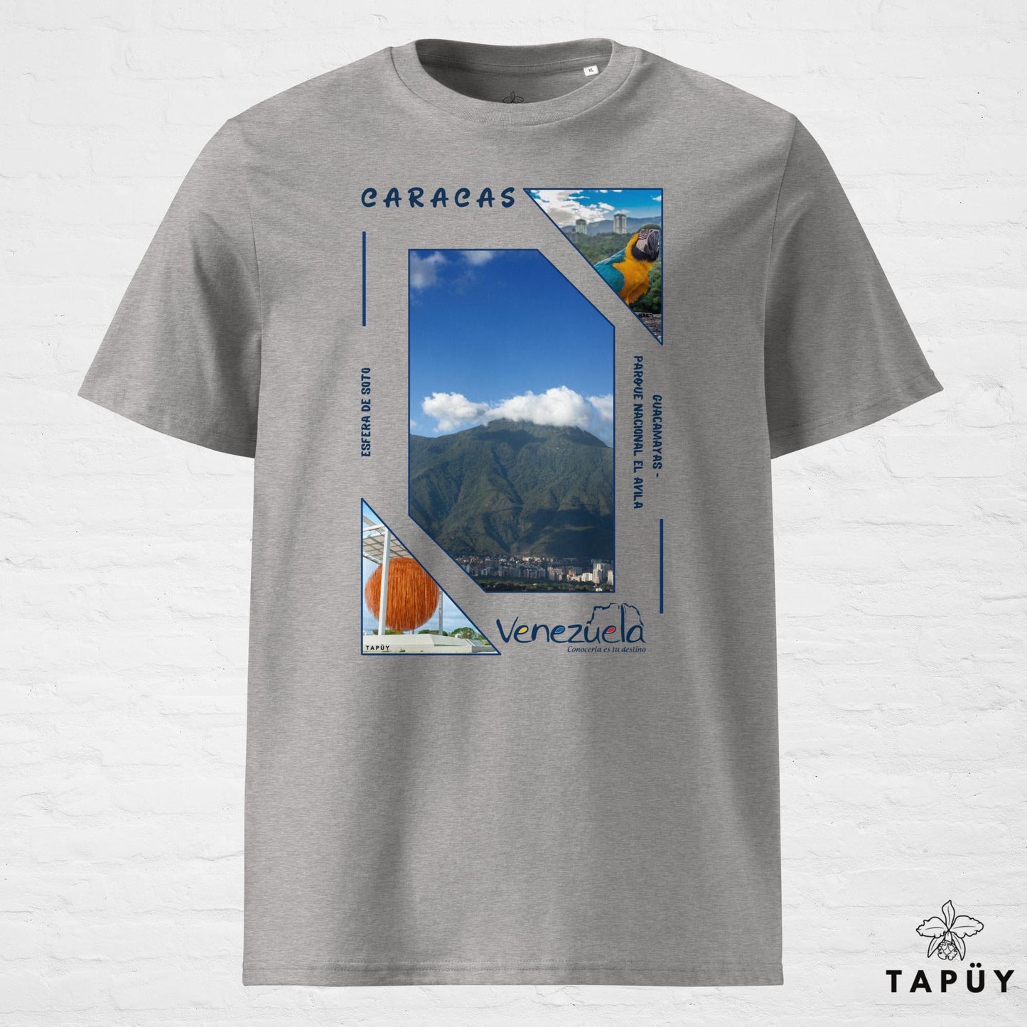 T-Shirt Homme Capital Caracas Gris Chiné / S de la marque Tapüy